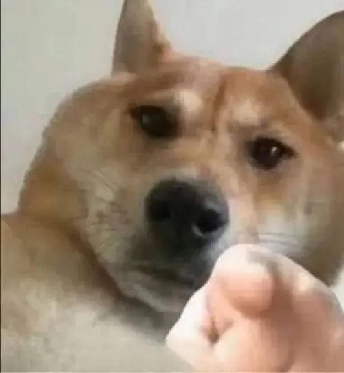 Hình troll thêm sắc thái chọc ghẹo với cảm xúc cường điệu bật ra