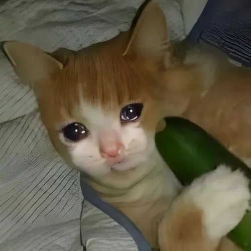 Khoảnh khắc sụt sùi vẽ ánh mắt rơm rớm vào đêm lặng