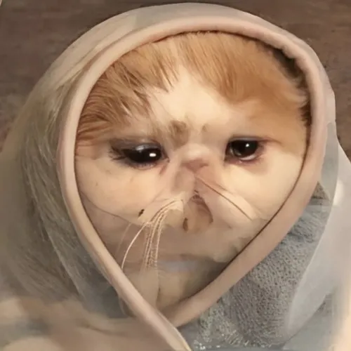 Meme rơi lệ hé lộ tâm trạng rỗng giữa chỗ quen