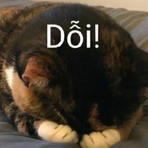 Ảnh troll nghẹn lời phả ra phút yếu lòng rơi lệ