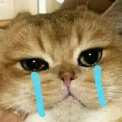 Khoảnh khắc rơi lệ khơi lại hụt hẫng và day dứt