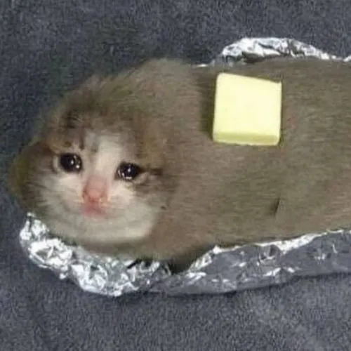 Gói ảnh mèo rơm rớm nước mắt cho ngày tâm trạng chạm đáy