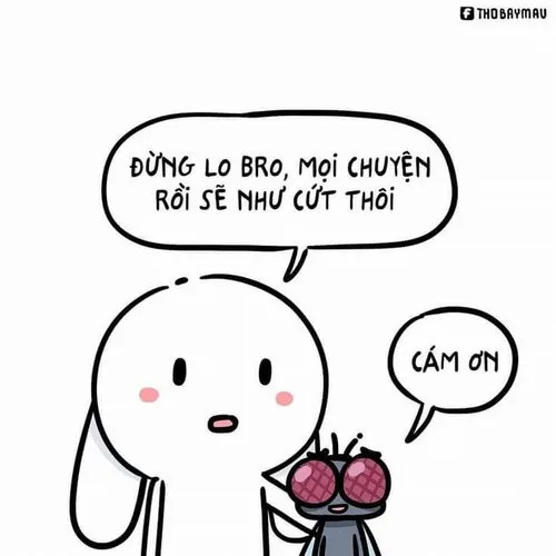 Thỏ Bảy Màu bình thản bất chấp trở thành meme đối nghịch cảm xúc cộng đồng