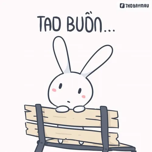 Ảnh vui thỏ tưng tửng mang chất lấp lửng vui tươi