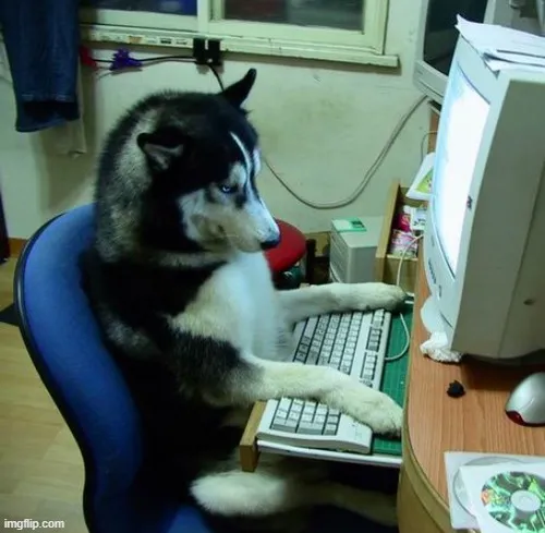 Meme chó tinh nghịch nhân đôi cảm giác phá phách từ Corgi