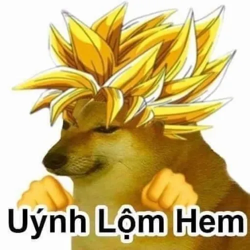 Ảnh chế loài khuyển đưa vào màu lông sáng cho vibe đáng yêu