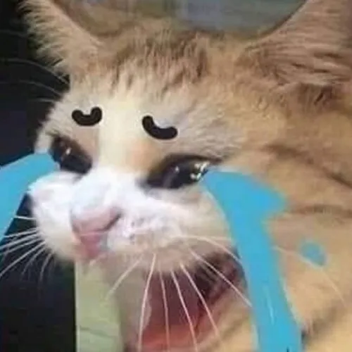 Khoảnh khắc thổn thức mang theo day dứt nhẹ cùng ánh mắt