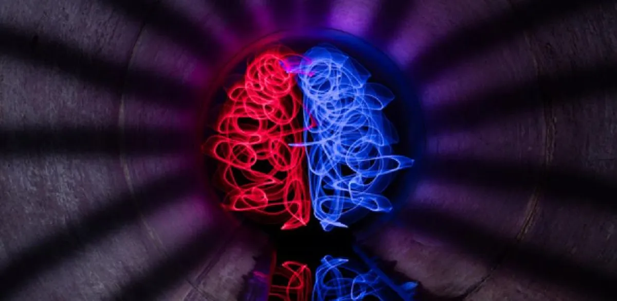Cơ sở thần kinh học của 16 kiểu tính cách MBTI: Phân tích fMRI và EEG