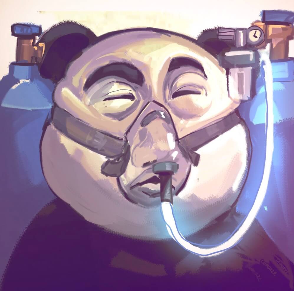 Gấu trúc phải thở bình oxy vì báo cáo không chuẩn bị