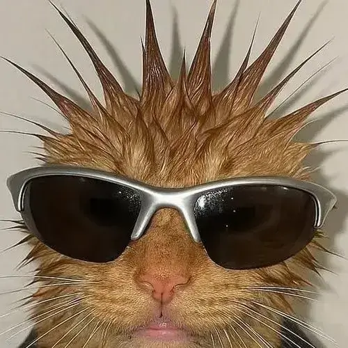 Mèo bựa ánh mắt trừng trừng cho ngày cần pha troll độc lạ