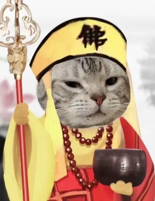 Ảnh troll tếu táo lan vibe hài giữa các pha lố