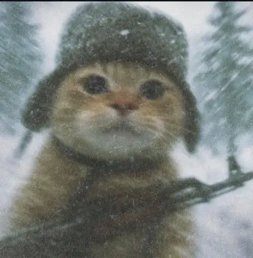 Hình meme vui mèo mắt mở trừng cho thấy lanh chanh