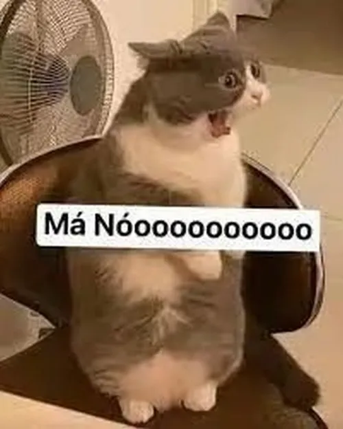 Hình chế mèo há hốc tạo cảm giác kỳ vọng vỡ vụn nhanh