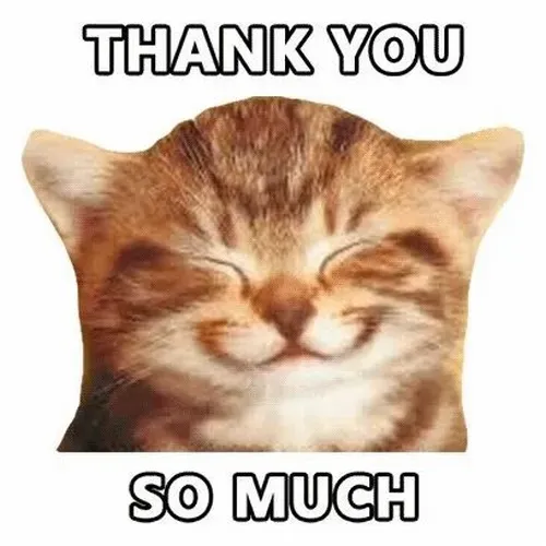 Meme miu làm rõ đuôi cong dễ thương lúc cúi đầu