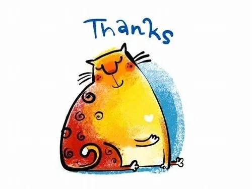 Ảnh hài mèo tái hiện đầu thuộc thân nghiêng cảm kích