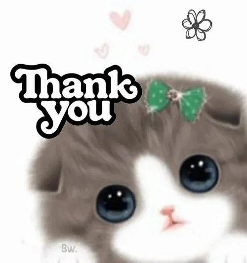 Meme mèo cảm ơn hợp cảnh bạn bè giúp nhau việc nhỏ