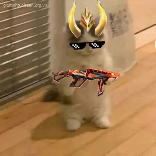 Meme mèo chiến gườm gườm cho thấy biểu cảm mạnh.