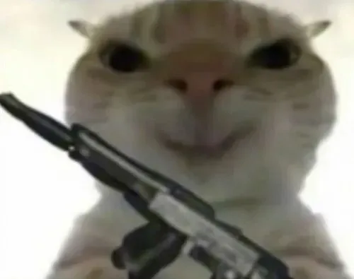 Khi mèo chiến cầm khẩu nhỏ tạo nên loạt khoảnh khắc căng pha hài