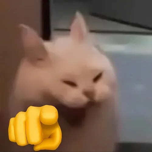 Bộ meme mèo cười chỉ tay siêu hợp lúc muốn cà khịa bạn thân
