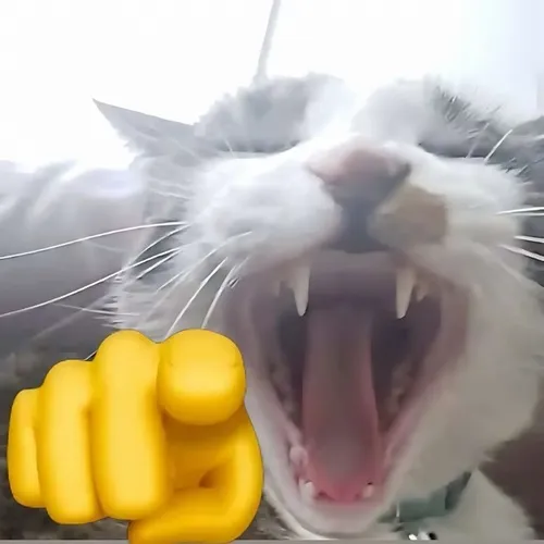 Ảnh troll bé Béo làm nổi bật bàn chân giơ ra cùng nét cười xém.