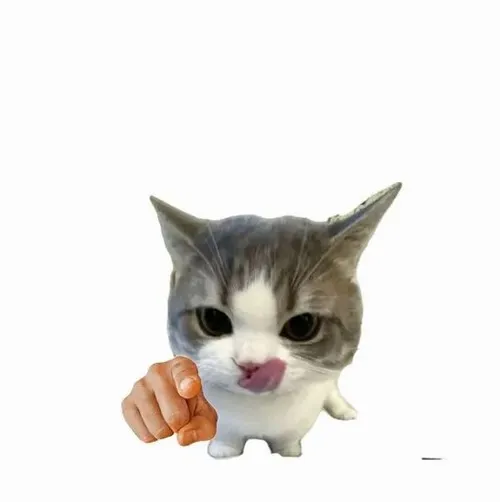 Khoảnh khắc mèo nheo mắt mô tả độ cong mép rất có duyên.