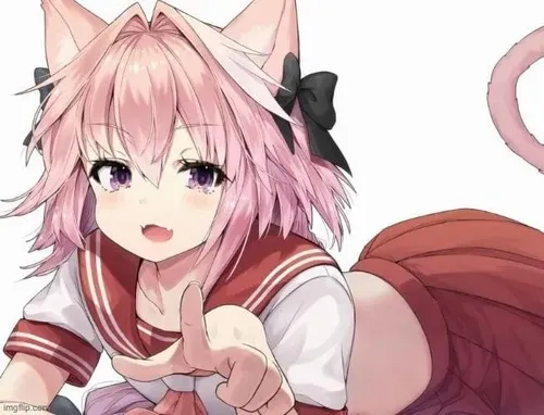 Loạt hình mèo anime tủm tỉm chỉ tay dành cho pha chọc quê dí dỏm