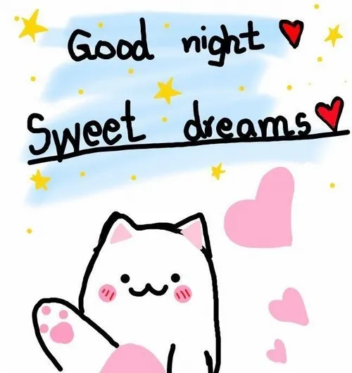 Meme chế bé mèo khai thác dáng nằm thiếp đi