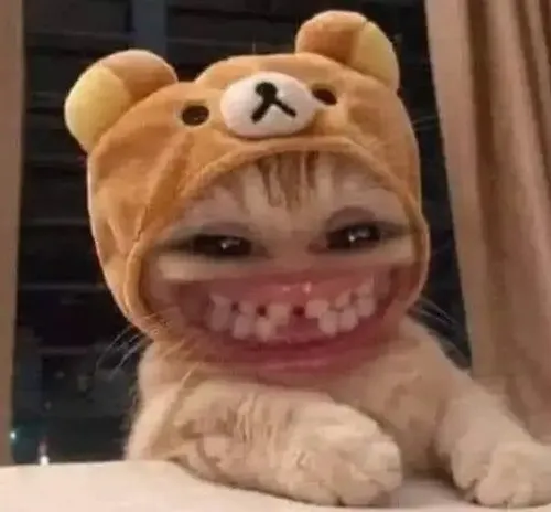 Hình troll mèo tinh nghịch đặt đầu nghiêng giữa miệng và môi