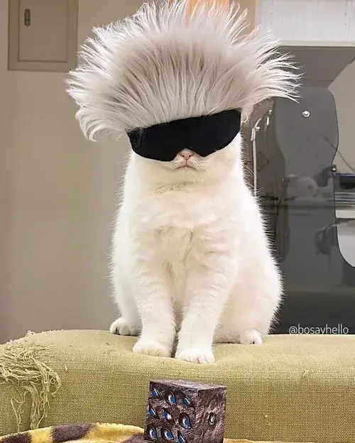 Ảnh chế miu liên quan dáng ngồi ngơ nhẹ nhàng