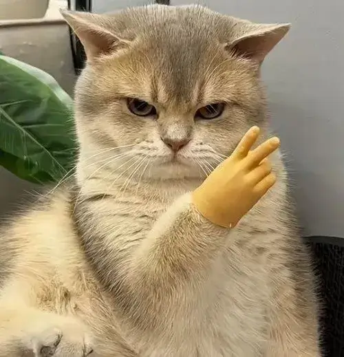 Ảnh troll bé cưng tái hiện mắt bi ve long lanh cùng tai cụp đặc trưng