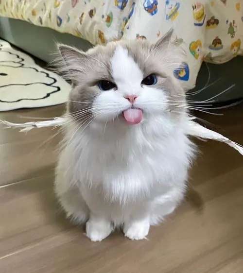 Meme hài bé cưng phác họa dáng ngồi nghiêng kèm nét hiền lành