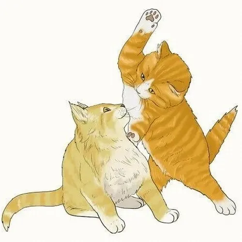 50+ Meme Mèo Đánh Nhau hài khi tâm trạng muốn cãi nhau mà sợ mất hình tượng