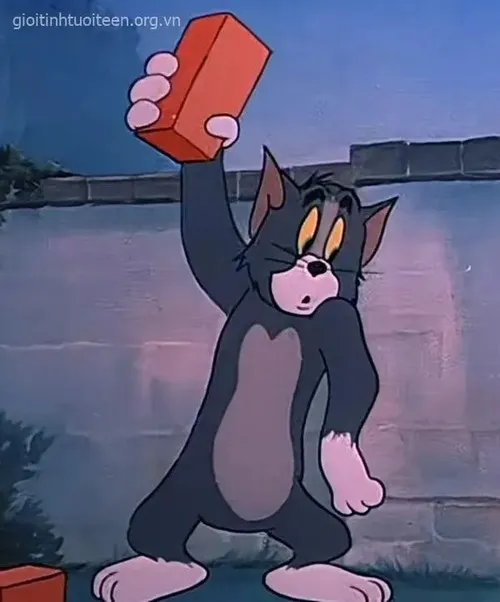 Ảnh hài tiểu miu phồng người trong góc bếp khiến ai xem cũng bật cười thích thú