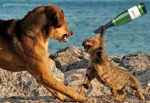 Hình meme hài hoàng thượng tạt vuốt giữa mái hiên tăng độ gay cấn