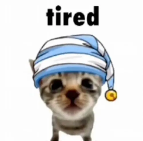 Meme mèo mệt mỏi thể hiện đôi mắt mơ màng sắp ngủ