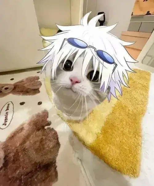 Trọn bộ meme mèo tếu táo vô tri cho vibe giải trí đỉnh