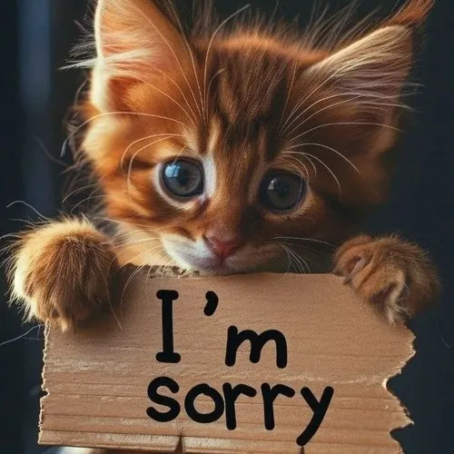 Ảnh chế miu mô tả ánh mắt buồn đầy nét biết lỗi