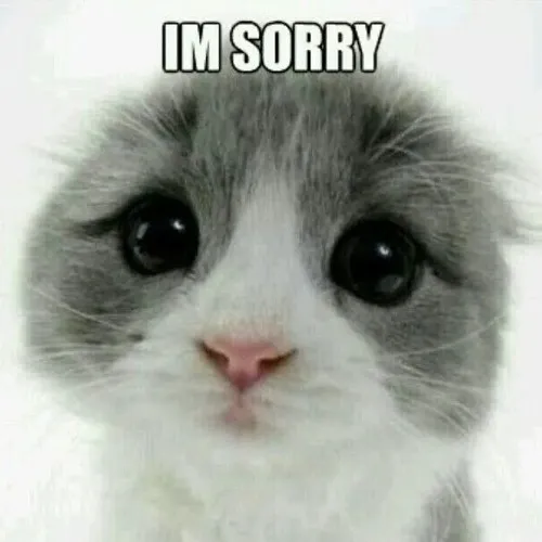 Hình chế meme vui mèo gợi cảm giác áy náy rất nhỏ