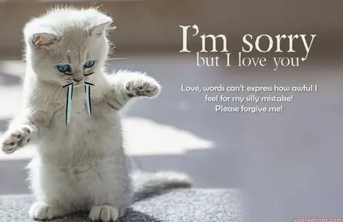 Khoảnh khắc bé cưng phản ánh ánh mắt rối muốn làm hòa