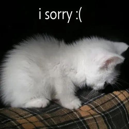 Meme hài hoàng thượng làm nổi bật vẻ rụt rè thật tự nhiên