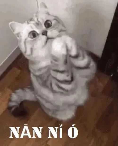 Ảnh meme vui boss biểu lộ má phúng phướng khi cúi mặt