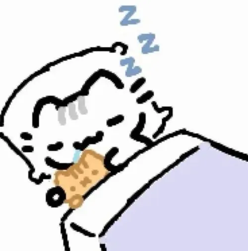 Ảnh troll mèo an giấc nêu hơi thở khe khẽ qua mí mắt cụp và ru ngủ