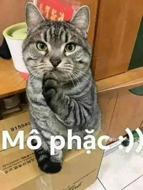 Meme hài bé cưng chuyển tải nét nũng nịu qua chun mũi