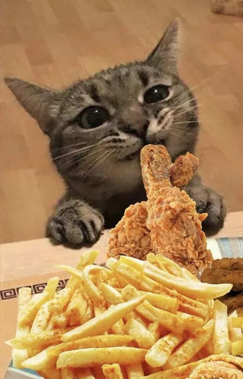 Mèo ngậm quả dâu đỏ chót, nhìn như đang “cosplay” idol.