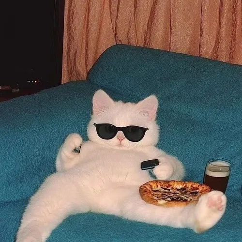 Mèo liếm cây kem lạnh, đầu nghiêng nhẹ như đang thưởng thức nghệ thuật ẩm thực.