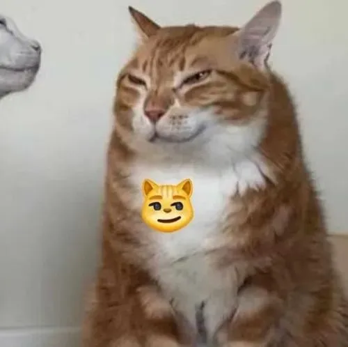 Ảnh meme vui nhếch môi nêu không khí trêu chọc qua đường cong mép và chọc tức