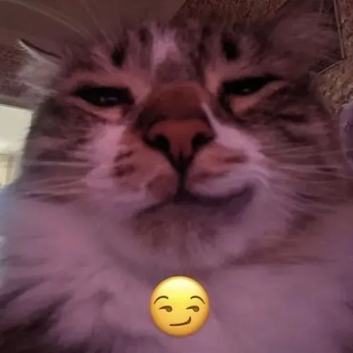 Meme chế tinh quái liên hệ tầng nghĩa giễu cợt trong biểu cảm nửa thật nửa đùa