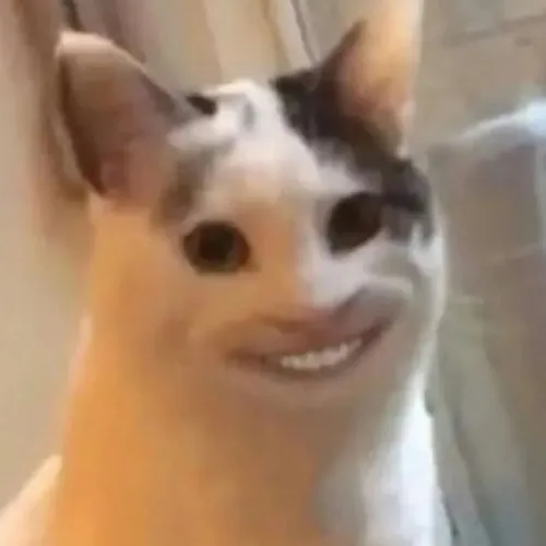 Bộ meme cười mỉa chai lì thích hợp comment lúc đang chọc tức