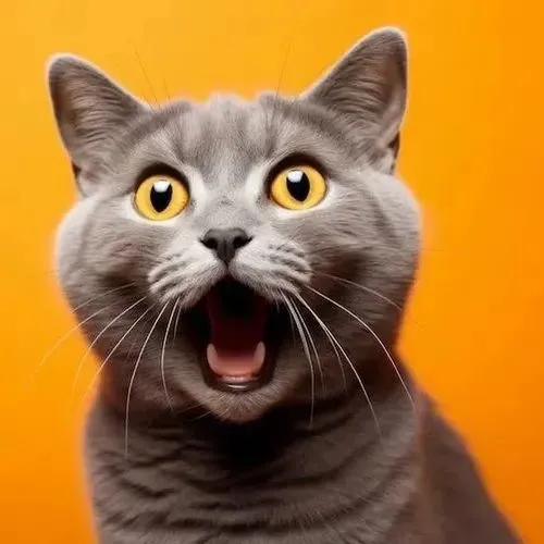 Mèo mặt hoảng hốt khi bị gọi đi tắm bất ngờ.