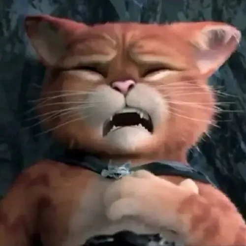 Meme mèo giật mình hợp cảnh nghe tiếng động bất thường